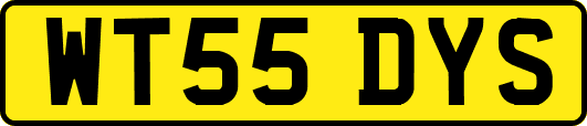 WT55DYS