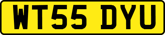 WT55DYU