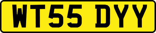 WT55DYY