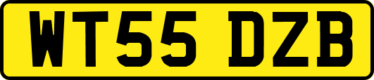 WT55DZB