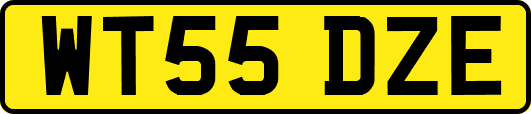 WT55DZE