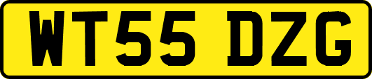 WT55DZG