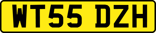 WT55DZH