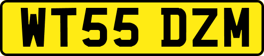 WT55DZM