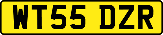 WT55DZR