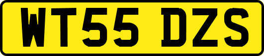 WT55DZS