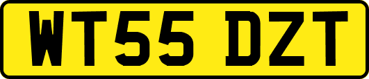 WT55DZT