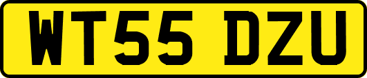 WT55DZU