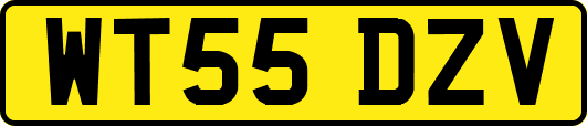 WT55DZV