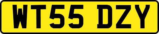 WT55DZY
