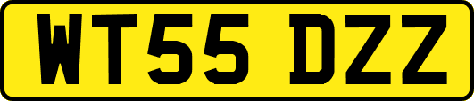 WT55DZZ
