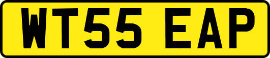 WT55EAP