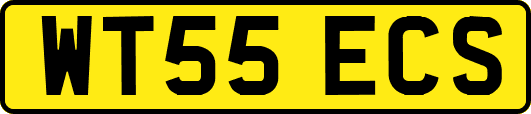 WT55ECS