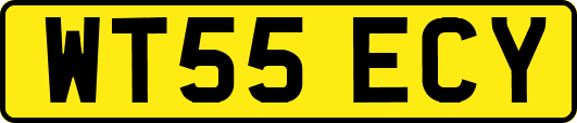 WT55ECY
