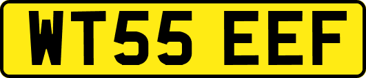 WT55EEF