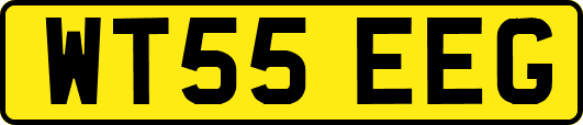 WT55EEG