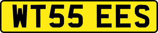 WT55EES