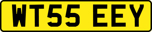 WT55EEY