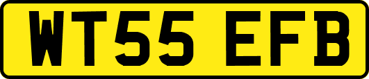 WT55EFB