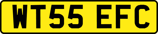 WT55EFC