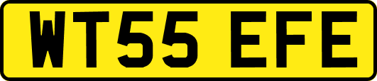 WT55EFE