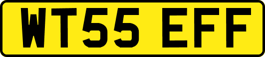 WT55EFF