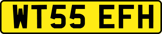WT55EFH