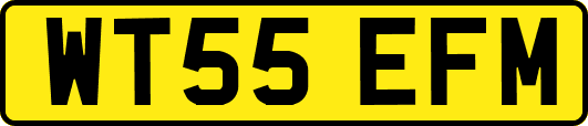WT55EFM