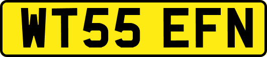 WT55EFN