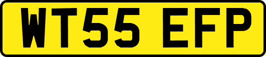 WT55EFP