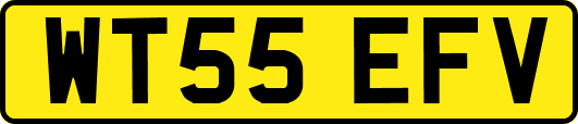 WT55EFV