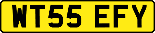 WT55EFY