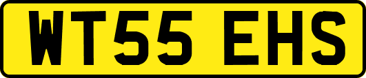 WT55EHS