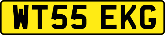 WT55EKG