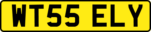 WT55ELY