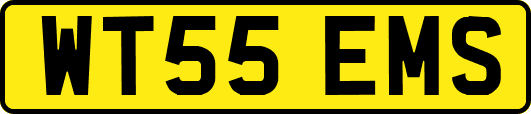 WT55EMS