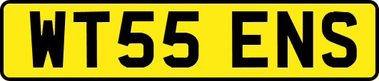 WT55ENS