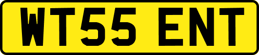 WT55ENT