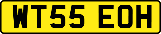 WT55EOH
