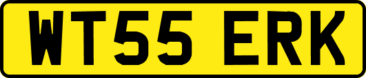 WT55ERK