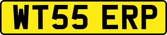 WT55ERP