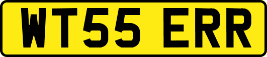 WT55ERR