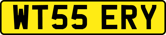 WT55ERY