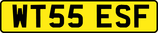 WT55ESF