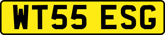 WT55ESG