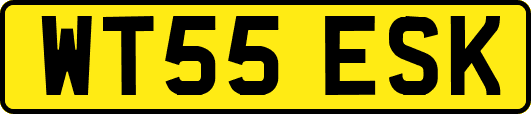 WT55ESK