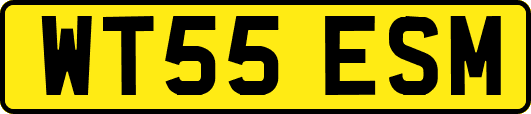 WT55ESM