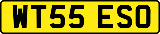 WT55ESO