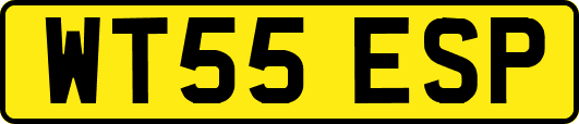 WT55ESP