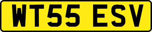 WT55ESV